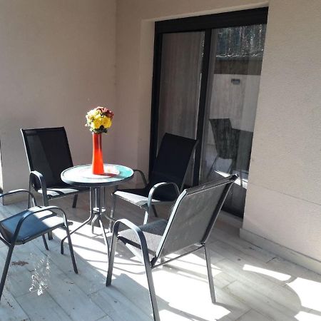 Lux Apartman Ss Zlatibor Vila Pekovic Green エクステリア 写真