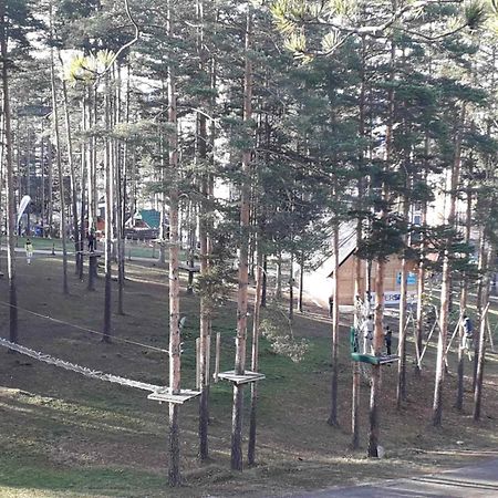 Lux Apartman Ss Zlatibor Vila Pekovic Green 部屋 写真