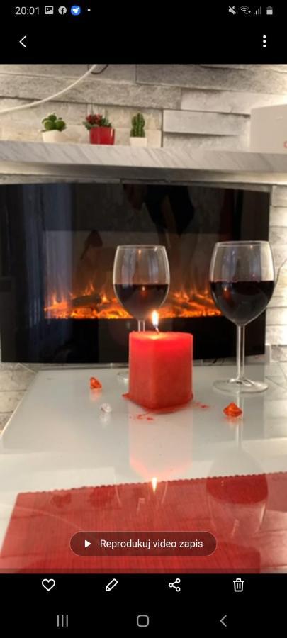 Lux Apartman Ss Zlatibor Vila Pekovic Green エクステリア 写真