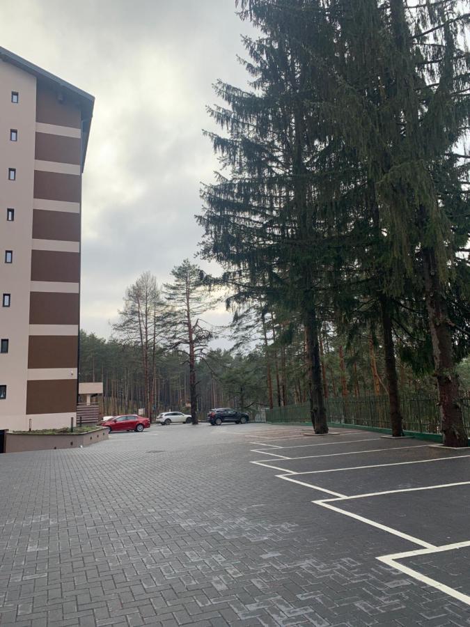 Lux Apartman Ss Zlatibor Vila Pekovic Green エクステリア 写真
