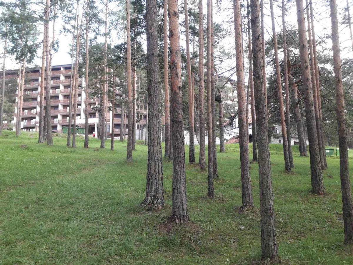 Lux Apartman Ss Zlatibor Vila Pekovic Green エクステリア 写真